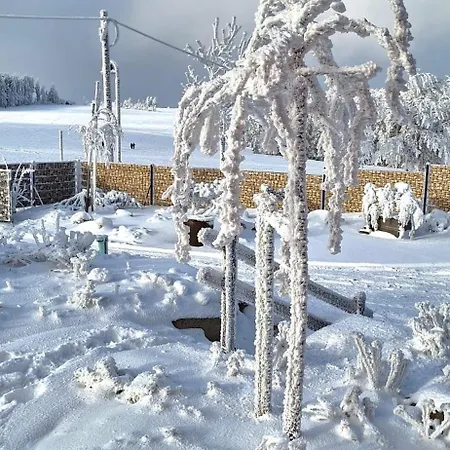 Apartment Haus Botanico Altenberg (Erzgebirge)
