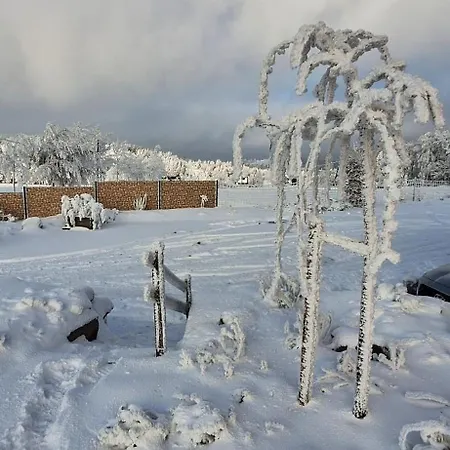 Haus Botanico Apartment *