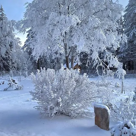 Apartment Haus Botanico *