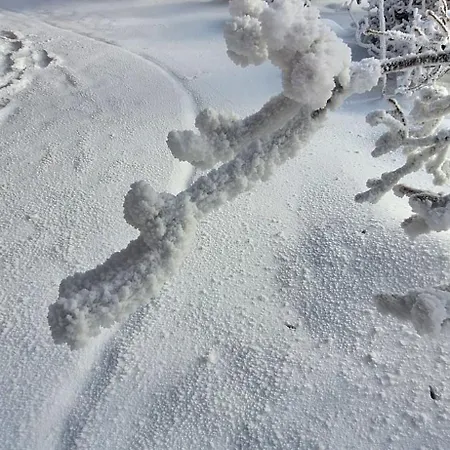 Haus Botanico Apartment