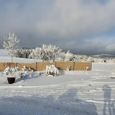 Apartment Haus Botanico