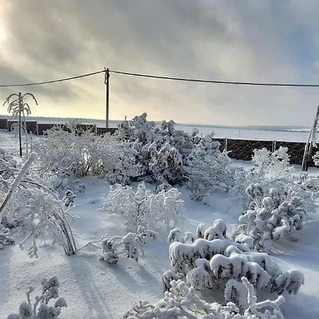 Haus Botanico Apartment *