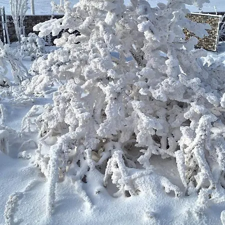 Haus Botanico Apartment