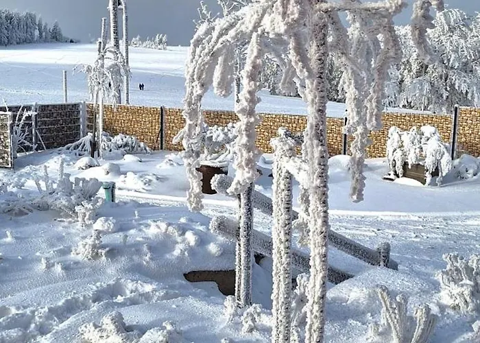 Апартаменты Haus Botanico Альтенберг