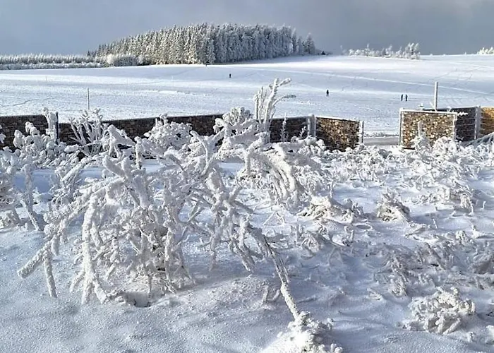 Haus Botanico Апартаменты *