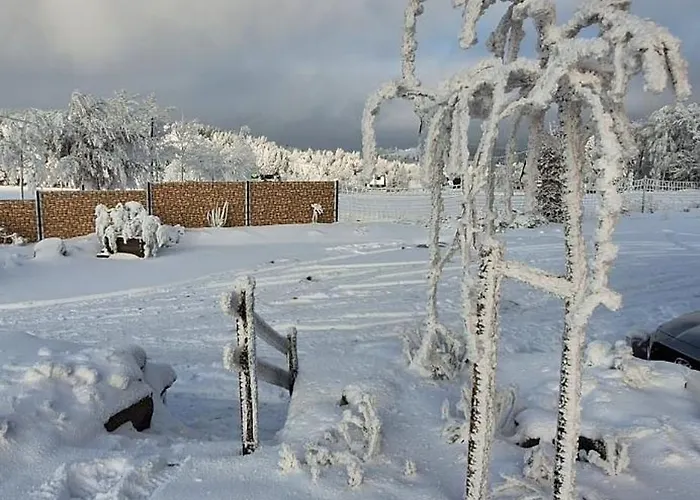 Haus Botanico Апартаменты *