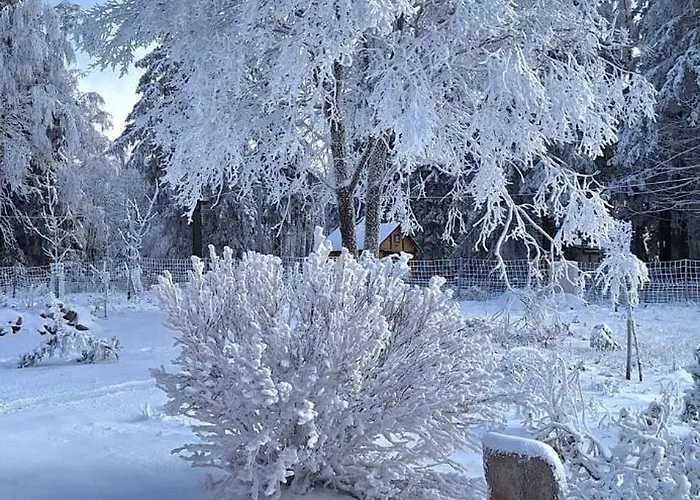 Апартаменты Haus Botanico *