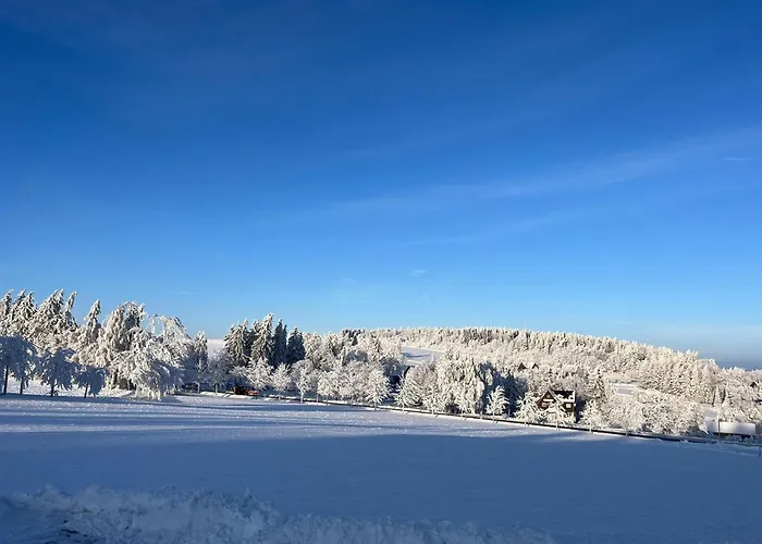 Апартаменты Haus Botanico Альтенберг