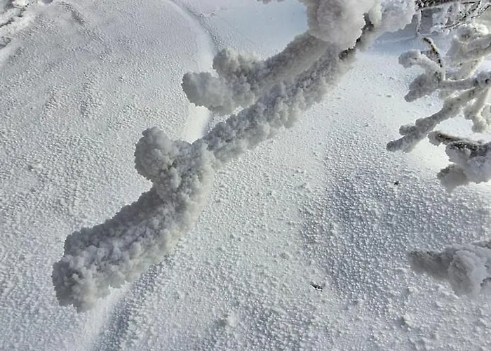 Haus Botanico Апартаменты