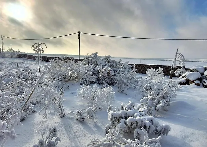 Haus Botanico Апартаменты *