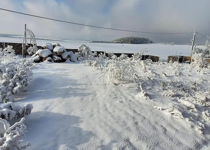 Апартаменты Haus Botanico *