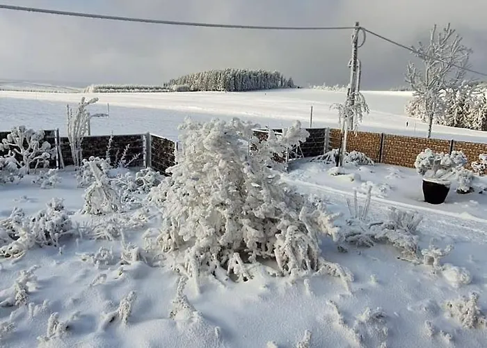 Апартаменты Haus Botanico Альтенберг