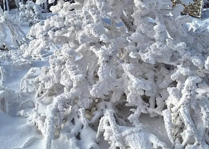 Haus Botanico Апартаменты