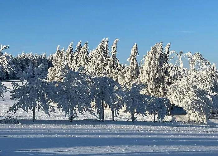 Апартаменты Haus Botanico Альтенберг